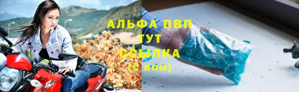 мяу мяу мука Абаза