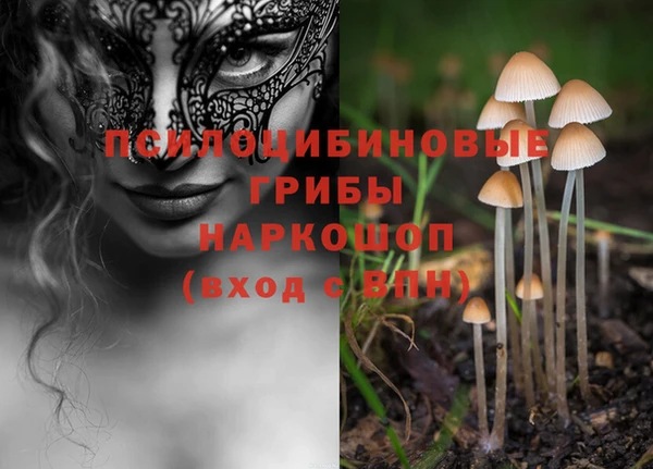 ALPHA PVP Абинск