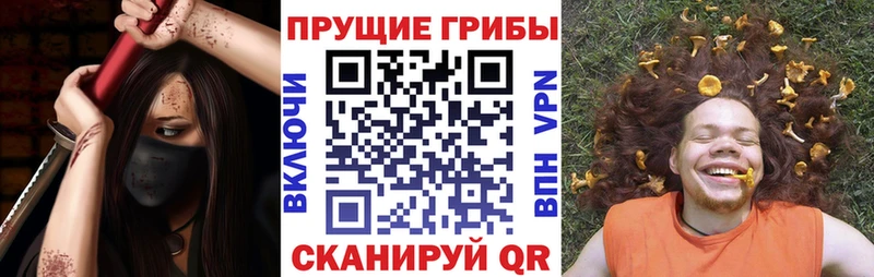 Псилоцибиновые грибы MAGIC MUSHROOMS  Кяхта 